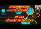 A teoría endosimbiótica | Recurso educativo 789869