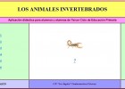 Los animales invertebrados | Recurso educativo 34797