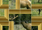 Puzzle interactivo: ciervo | Recurso educativo 50645