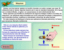 Interactivo: la palanca | Recurso educativo 12284