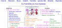 La nutrición | Recurso educativo 16114