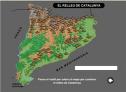 Mapes interactius: el relleu de Catalunya | Recurso educativo 27401