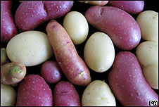 Scientists map potato genome | Recurso educativo 71711