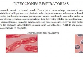 Infecciones respiratorias | Recurso educativo 735907