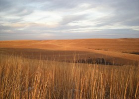 Steppe - National Geographic | Recurso educativo 744906