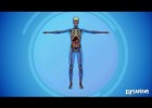 THE SYSTEMS OF THE HUMAN BODY | Recurso educativo 766177