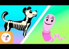 Los animales vertebrados e invertebrados para niños - Vídeos educativos | Recurso educativo 787653