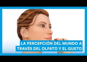 El olfato y el gusto, y la percepción del mundo. | Recurso educativo 788219