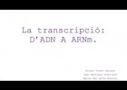 La transcripció: d'ADN a ARNm | Recurso educativo 789427